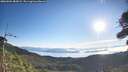 ./images/calvert/fitz-hugh-hecate/20260904/fitz-hugh-hecate20260904_084502M.jpg