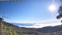 ./images/calvert/fitz-hugh-hecate/20260904/fitz-hugh-hecate20260904_093001M.jpg
