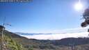 ./images/calvert/fitz-hugh-hecate/20260904/fitz-hugh-hecate20260904_100002M.jpg