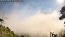 ./images/calvert/fitz-hugh-hecate/20260904/fitz-hugh-hecate20260904_104001M.jpg