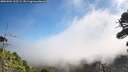 ./images/calvert/fitz-hugh-hecate/20260904/fitz-hugh-hecate20260904_105501M.jpg