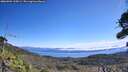 ./images/calvert/fitz-hugh-hecate/20260904/fitz-hugh-hecate20260904_115001M.jpg