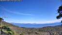 ./images/calvert/fitz-hugh-hecate/20260904/fitz-hugh-hecate20260904_133001M.jpg