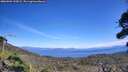 ./images/calvert/fitz-hugh-hecate/20260904/fitz-hugh-hecate20260904_135001M.jpg