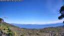 ./images/calvert/fitz-hugh-hecate/20260904/fitz-hugh-hecate20260904_140501M.jpg