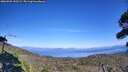 ./images/calvert/fitz-hugh-hecate/20260904/fitz-hugh-hecate20260904_152501M.jpg