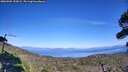 ./images/calvert/fitz-hugh-hecate/20260904/fitz-hugh-hecate20260904_153001M.jpg
