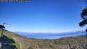 ./images/calvert/fitz-hugh-hecate/20260904/fitz-hugh-hecate20260904_153501M.jpg