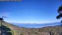 ./images/calvert/fitz-hugh-hecate/20260904/fitz-hugh-hecate20260904_154501M.jpg