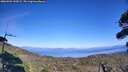 ./images/calvert/fitz-hugh-hecate/20260904/fitz-hugh-hecate20260904_155001M.jpg