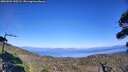 ./images/calvert/fitz-hugh-hecate/20260904/fitz-hugh-hecate20260904_155501M.jpg