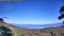 ./images/calvert/fitz-hugh-hecate/20260904/fitz-hugh-hecate20260904_160001M.jpg