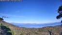 ./images/calvert/fitz-hugh-hecate/20260904/fitz-hugh-hecate20260904_162001M.jpg