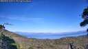 ./images/calvert/fitz-hugh-hecate/20260904/fitz-hugh-hecate20260904_162501M.jpg
