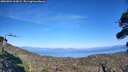 ./images/calvert/fitz-hugh-hecate/20260904/fitz-hugh-hecate20260904_163001M.jpg