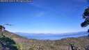 ./images/calvert/fitz-hugh-hecate/20260904/fitz-hugh-hecate20260904_163501M.jpg