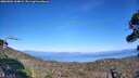 ./images/calvert/fitz-hugh-hecate/20260904/fitz-hugh-hecate20260904_164002M.jpg