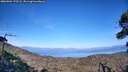 ./images/calvert/fitz-hugh-hecate/20260904/fitz-hugh-hecate20260904_173501M.jpg