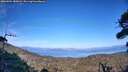 ./images/calvert/fitz-hugh-hecate/20260904/fitz-hugh-hecate20260904_180001M.jpg