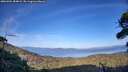 ./images/calvert/fitz-hugh-hecate/20260904/fitz-hugh-hecate20260904_184002M.jpg