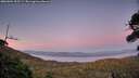 ./images/calvert/fitz-hugh-hecate/20260904/fitz-hugh-hecate20260904_202501M.jpg