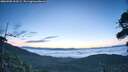 ./images/calvert/fitz-hugh-hecate/20260905/fitz-hugh-hecate20260905_063502M.jpg