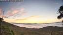 ./images/calvert/fitz-hugh-hecate/20260905/fitz-hugh-hecate20260905_064501M.jpg