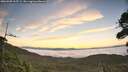 ./images/calvert/fitz-hugh-hecate/20260905/fitz-hugh-hecate20260905_065501M.jpg