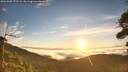 ./images/calvert/fitz-hugh-hecate/20260905/fitz-hugh-hecate20260905_072502M.jpg