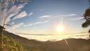 ./images/calvert/fitz-hugh-hecate/20260905/fitz-hugh-hecate20260905_074001M.jpg