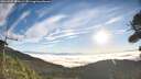 ./images/calvert/fitz-hugh-hecate/20260905/fitz-hugh-hecate20260905_081001M.jpg