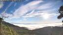 ./images/calvert/fitz-hugh-hecate/20260905/fitz-hugh-hecate20260905_081501M.jpg