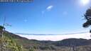./images/calvert/fitz-hugh-hecate/20260905/fitz-hugh-hecate20260905_104002M.jpg