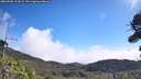 ./images/calvert/fitz-hugh-hecate/20260905/fitz-hugh-hecate20260905_111001M.jpg