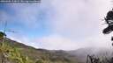 ./images/calvert/fitz-hugh-hecate/20260905/fitz-hugh-hecate20260905_114502M.jpg