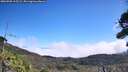 ./images/calvert/fitz-hugh-hecate/20260905/fitz-hugh-hecate20260905_115501M.jpg