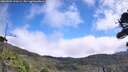 ./images/calvert/fitz-hugh-hecate/20260905/fitz-hugh-hecate20260905_120501M.jpg