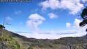 ./images/calvert/fitz-hugh-hecate/20260905/fitz-hugh-hecate20260905_124502M.jpg