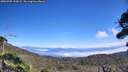./images/calvert/fitz-hugh-hecate/20260905/fitz-hugh-hecate20260905_133002M.jpg
