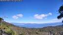 ./images/calvert/fitz-hugh-hecate/20260905/fitz-hugh-hecate20260905_142002M.jpg