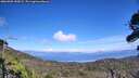 ./images/calvert/fitz-hugh-hecate/20260905/fitz-hugh-hecate20260905_145002M.jpg