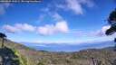 ./images/calvert/fitz-hugh-hecate/20260905/fitz-hugh-hecate20260905_152002M.jpg