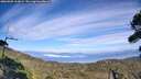 ./images/calvert/fitz-hugh-hecate/20260905/fitz-hugh-hecate20260905_160001M.jpg