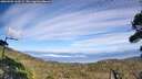 ./images/calvert/fitz-hugh-hecate/20260905/fitz-hugh-hecate20260905_160501M.jpg
