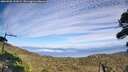 ./images/calvert/fitz-hugh-hecate/20260905/fitz-hugh-hecate20260905_161001M.jpg
