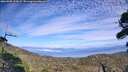 ./images/calvert/fitz-hugh-hecate/20260905/fitz-hugh-hecate20260905_162002M.jpg