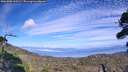 ./images/calvert/fitz-hugh-hecate/20260905/fitz-hugh-hecate20260905_162501M.jpg