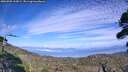 ./images/calvert/fitz-hugh-hecate/20260905/fitz-hugh-hecate20260905_163001M.jpg