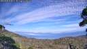 ./images/calvert/fitz-hugh-hecate/20260905/fitz-hugh-hecate20260905_164002M.jpg