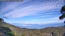 ./images/calvert/fitz-hugh-hecate/20260905/fitz-hugh-hecate20260905_164502M.jpg